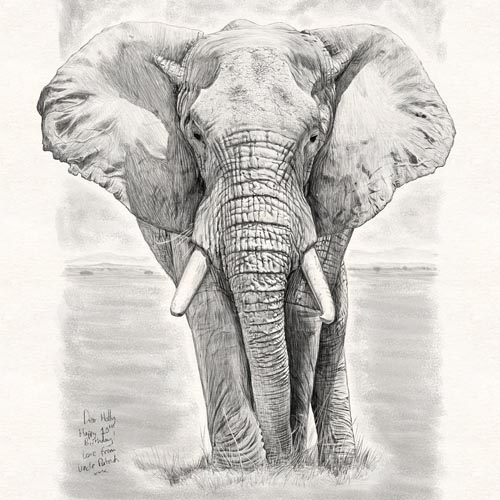 Elephant Sketch