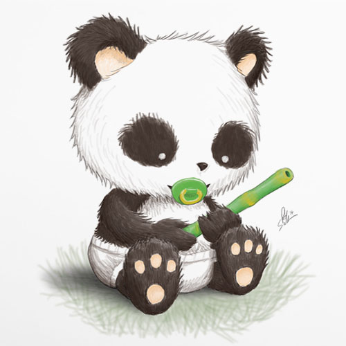 Panda