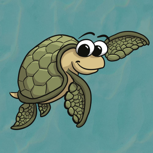 Turtle Toon